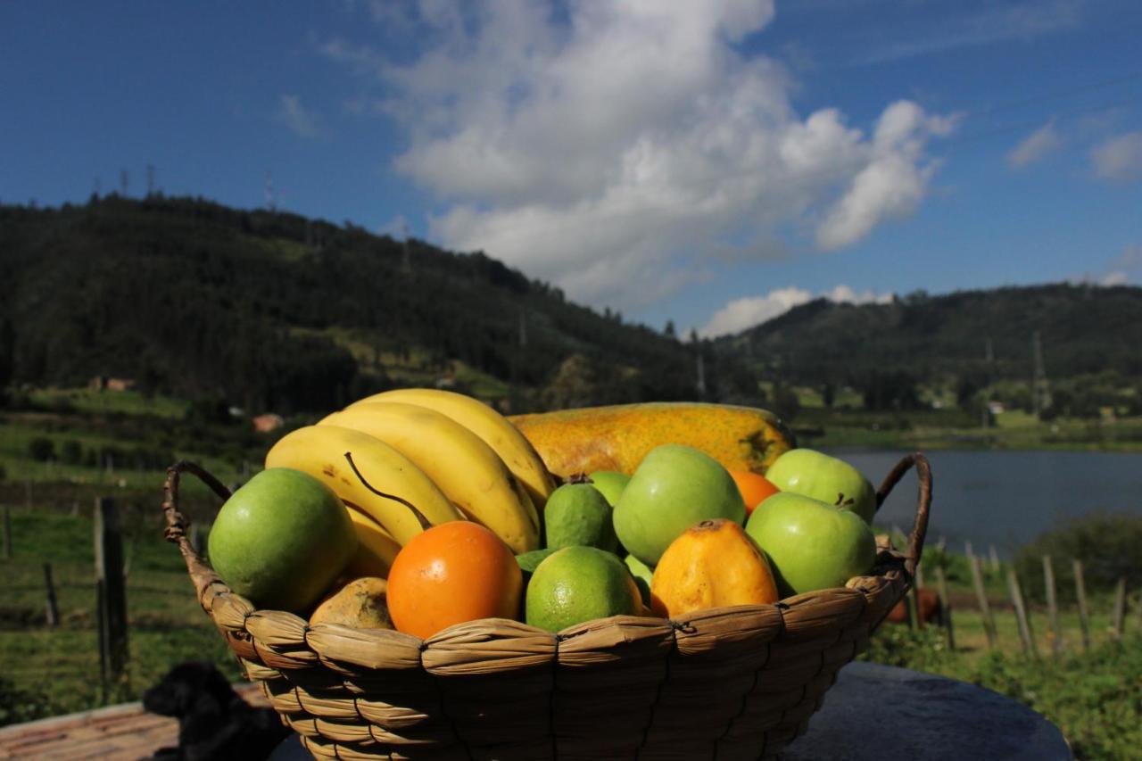 民宿 Campestre Duraznos
