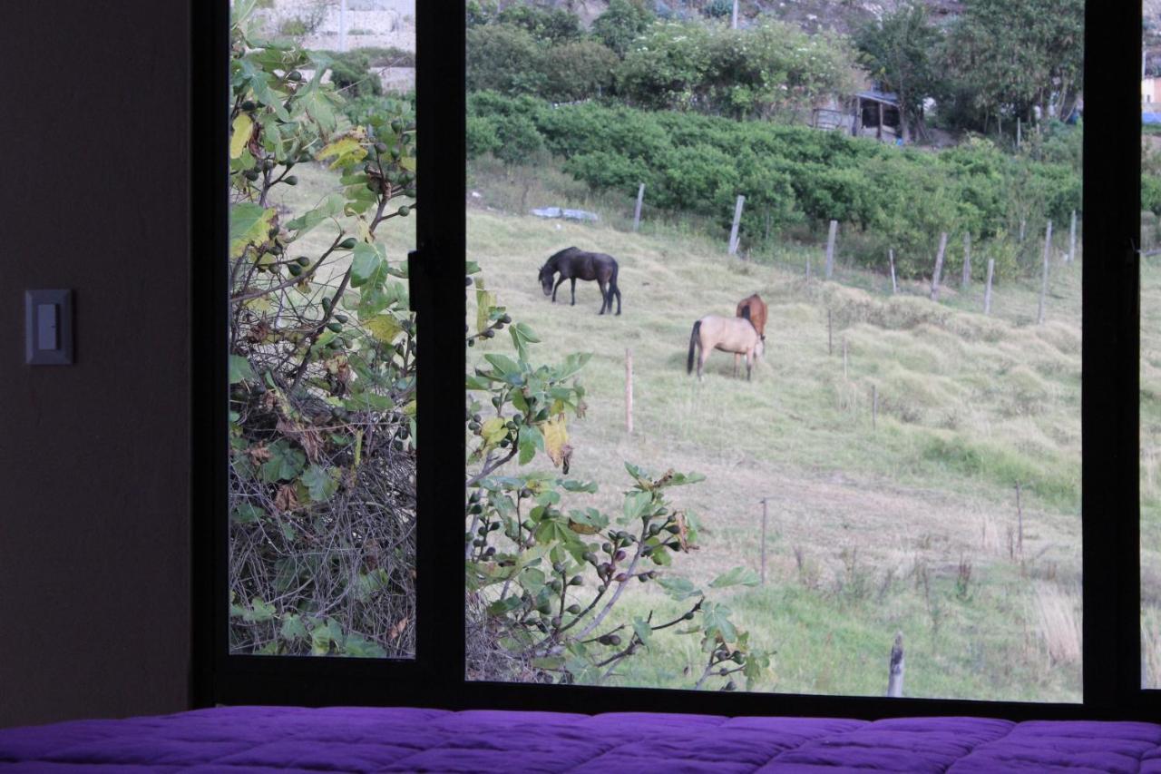 Campestre Duraznos Paipa