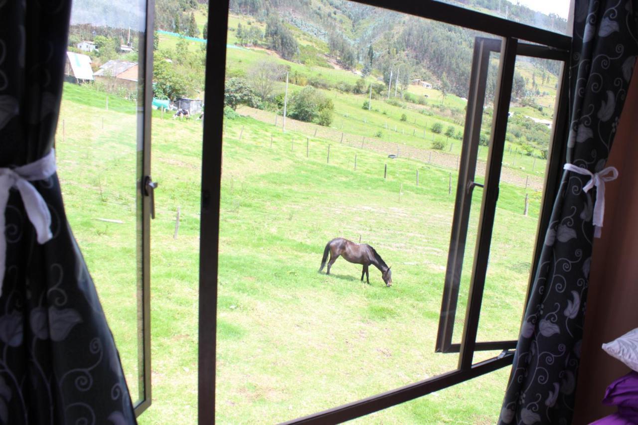 Campestre Duraznos