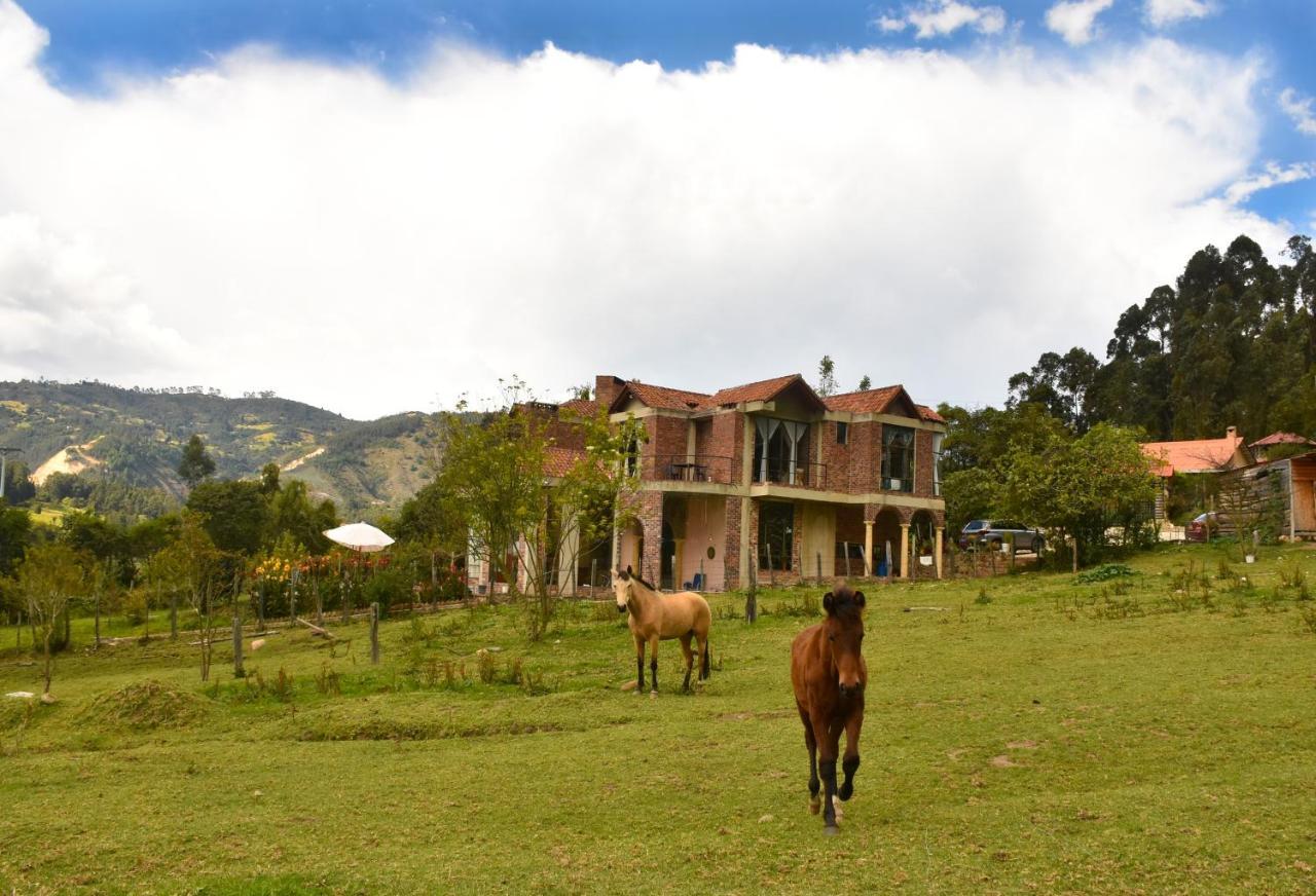 Bed & Breakfast Campestre Duraznos *