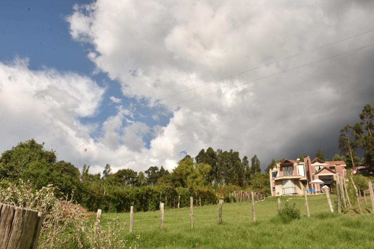 Campestre Duraznos *